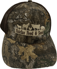 Kash J.’s Hat: Q3